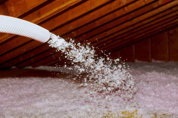 Professional Insulation Contractor in Laie, HI